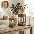 13”H Glass Vase - Clear - The Coral Palm LLC