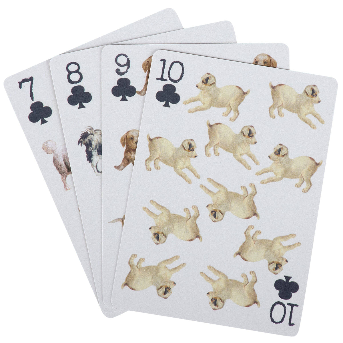 Vintage Dog Portrait Playing Cards