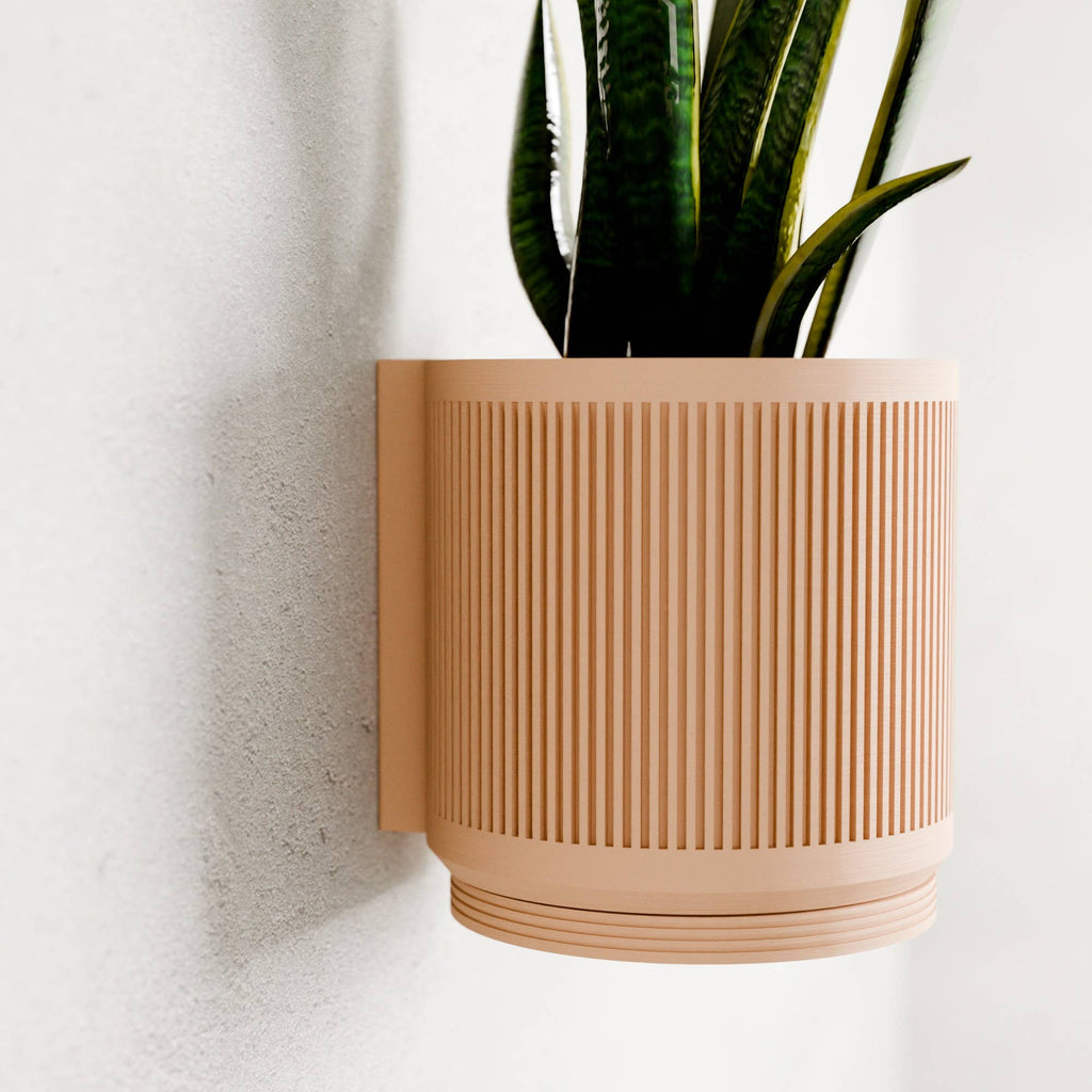 Succulent Hanging Wall Planter