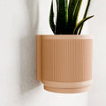Succulent Hanging Wall Planter