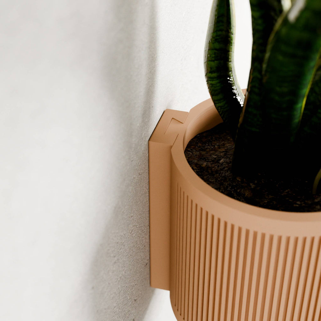 Succulent Hanging Wall Planter