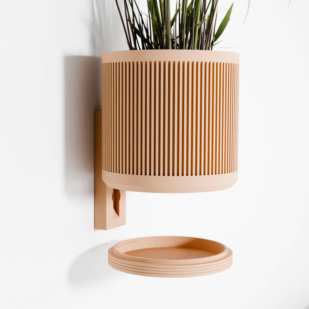 Succulent Hanging Wall Planter
