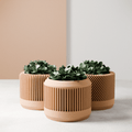 The Bamboo Modern Cylinder Planter Set - The Coral Palm LLC