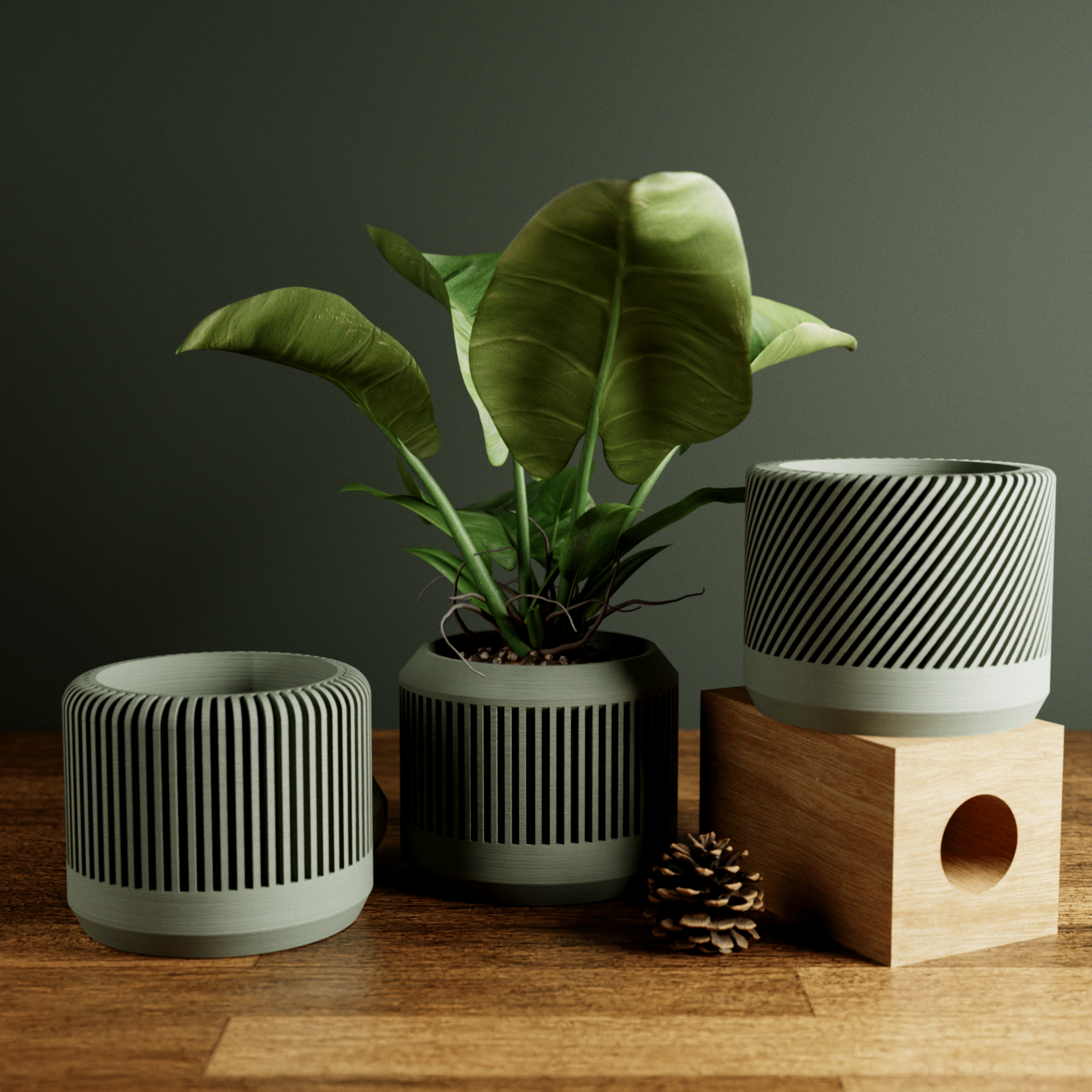 The Bamboo Modern Cylinder Planter Set - The Coral Palm LLC