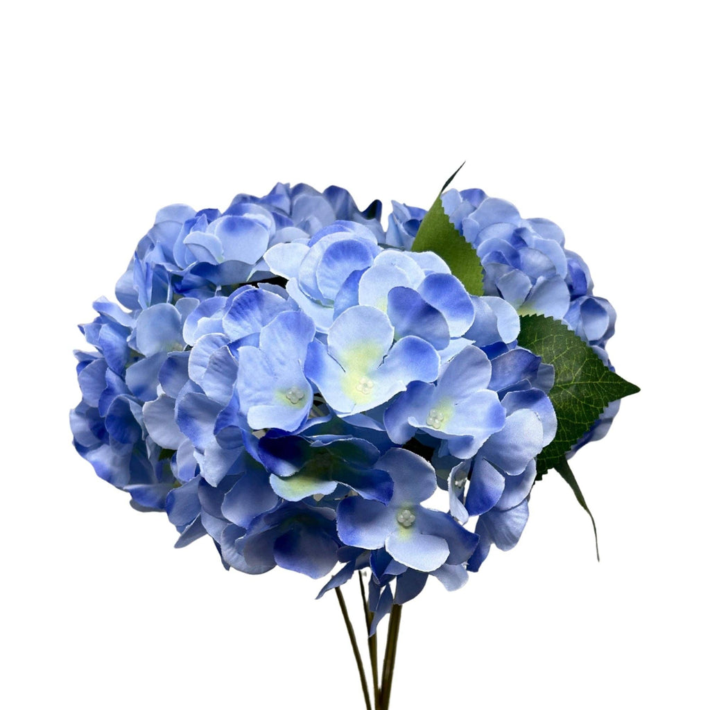 English Garden Hydrangea Bush x5 - 17" Garden Blue - The Coral Palm LLC