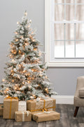 5' Prelit Snow Flocked Alpine Spruce Christmas Tree