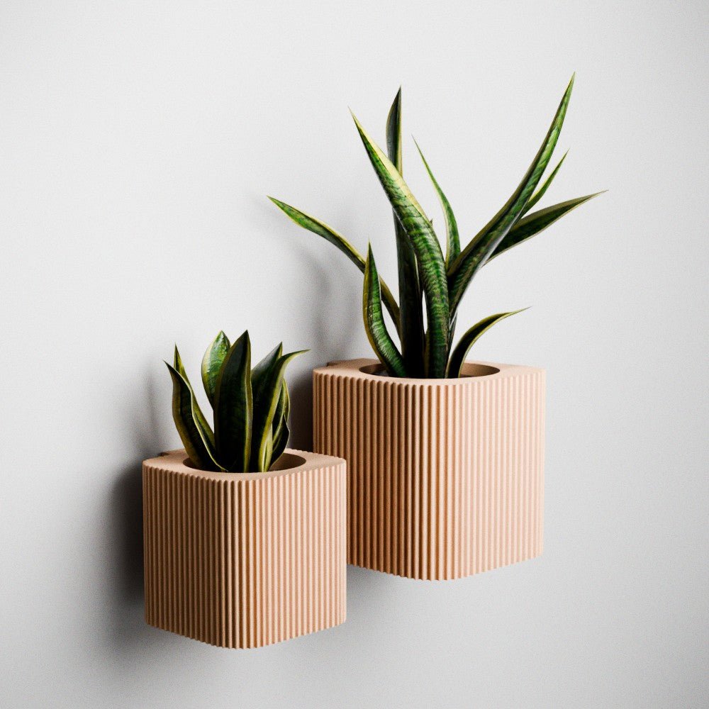 The Helix Spiral Wall Planter – The Coral Palm LLC