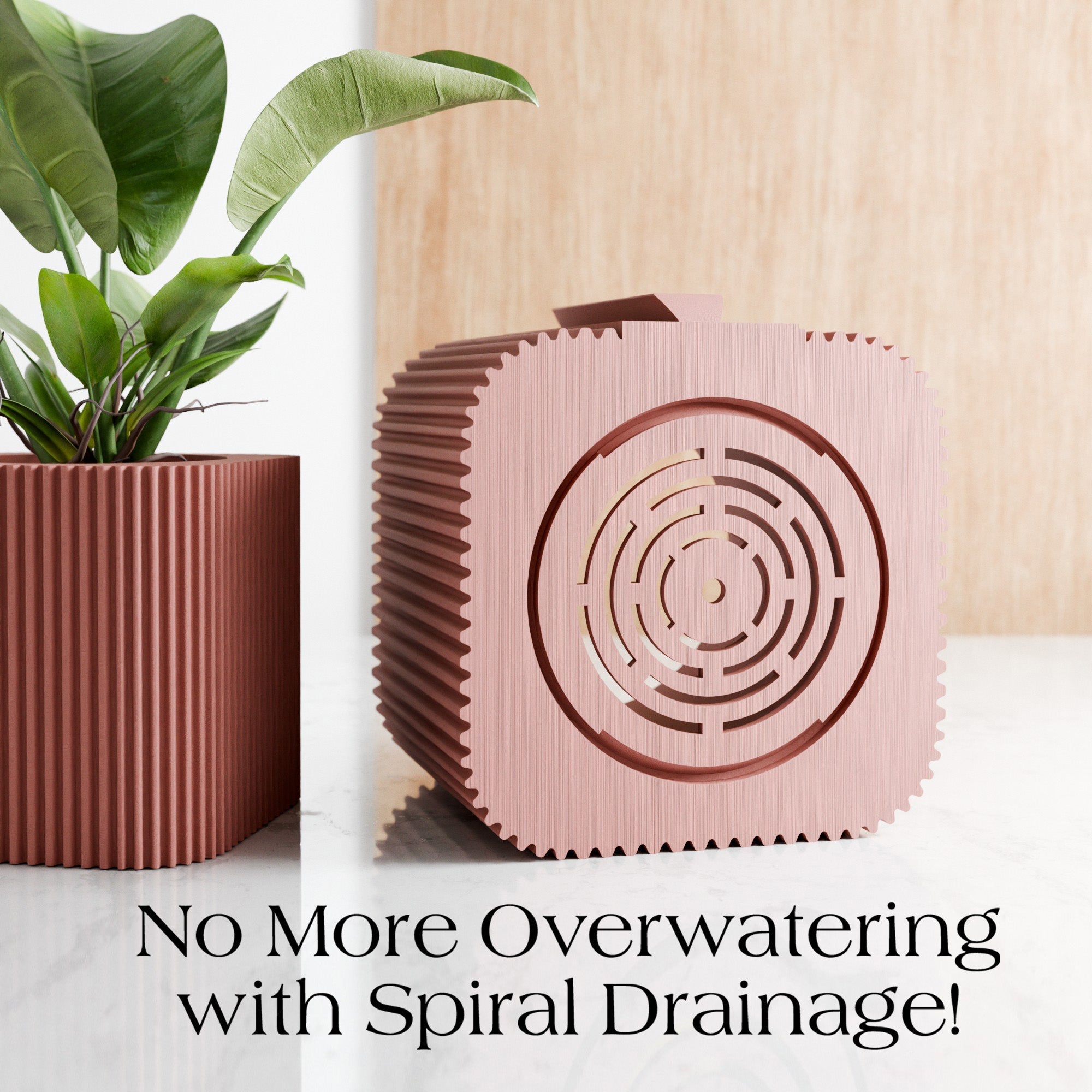 The Helix Spiral Wall Planter – The Coral Palm LLC