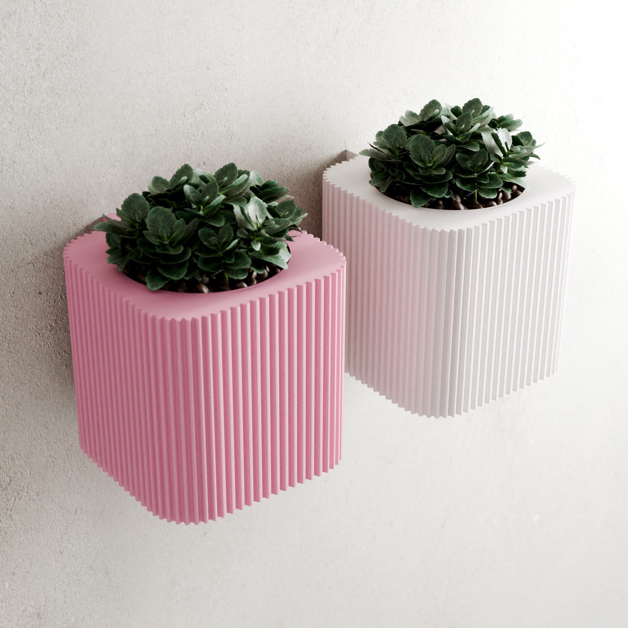 The Helix Spiral Wall Planter – The Coral Palm LLC