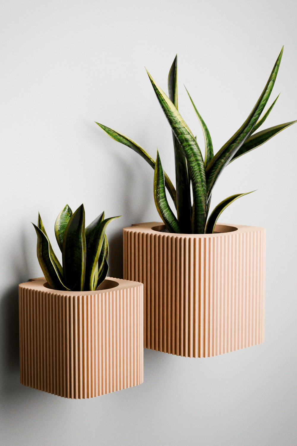 The Helix Spiral Wall Planter – The Coral Palm LLC