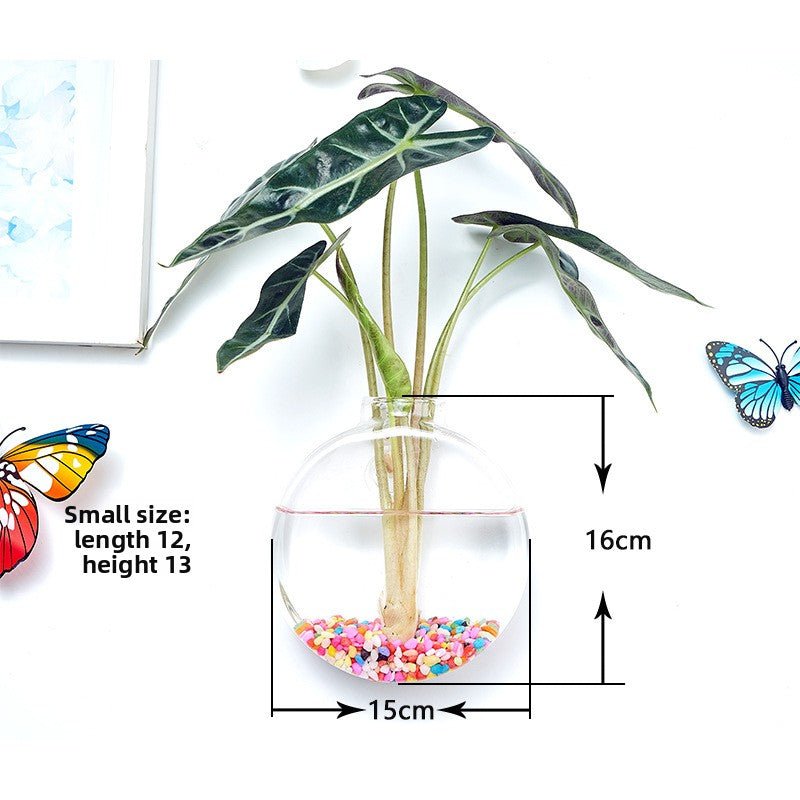 Hanging Hydroponic Glass Vase for Plants Wall Decor - The Coral Palm LLC