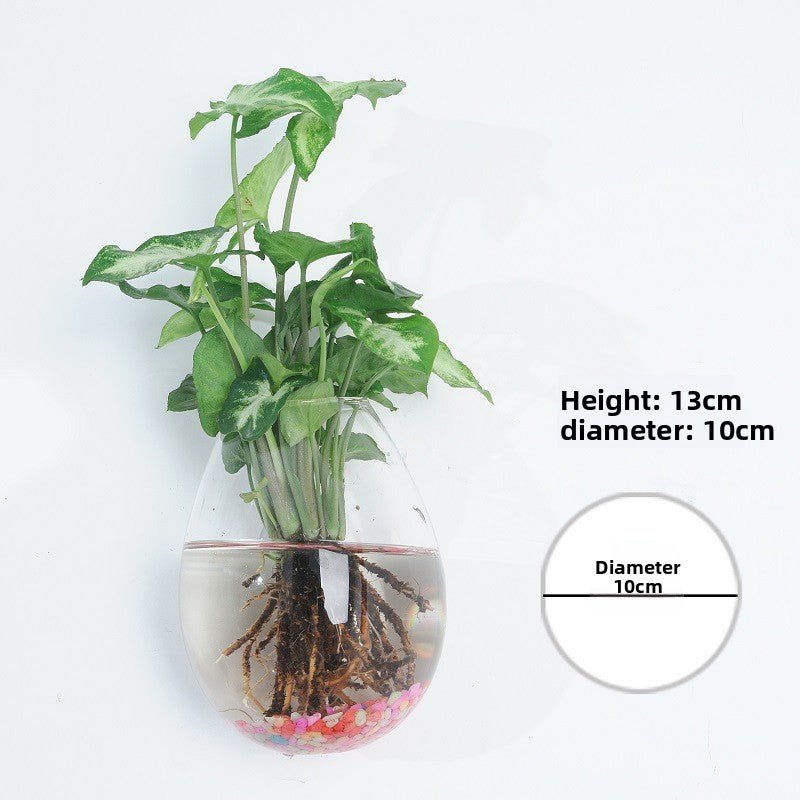 Hanging Hydroponic Glass Vase for Plants Wall Decor - The Coral Palm LLC