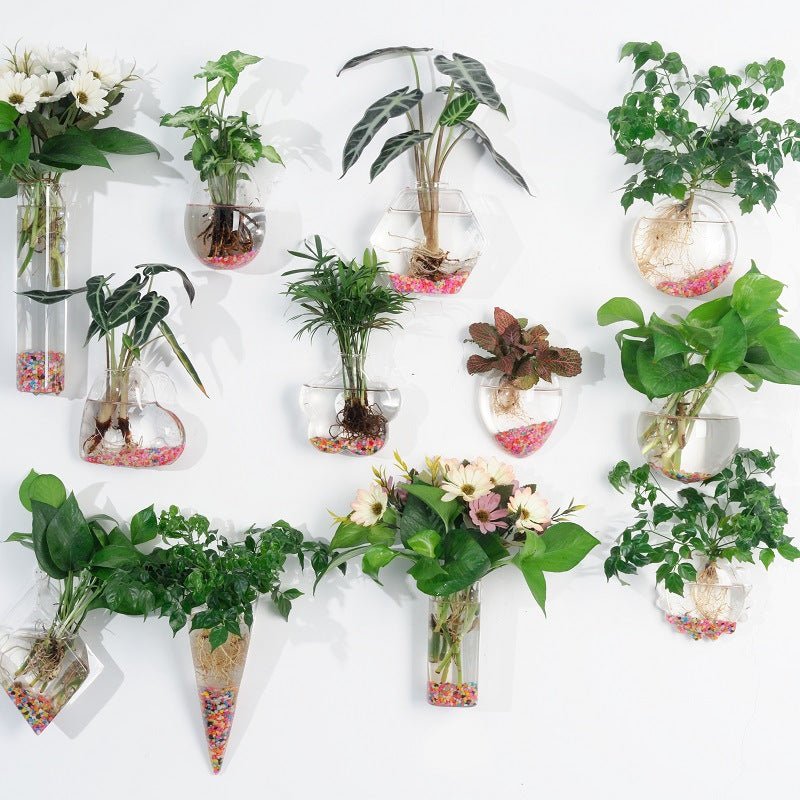 Hanging Hydroponic Glass Vase for Plants Wall Decor - The Coral Palm LLC