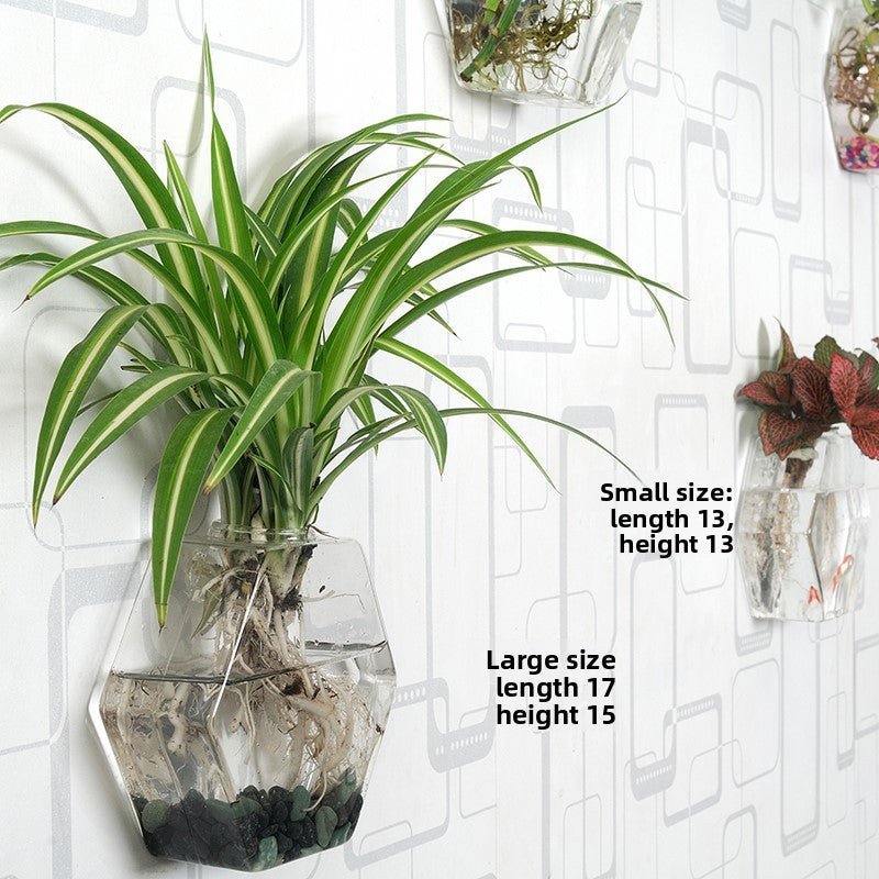 Hanging Hydroponic Glass Vase for Plants Wall Decor - The Coral Palm LLC