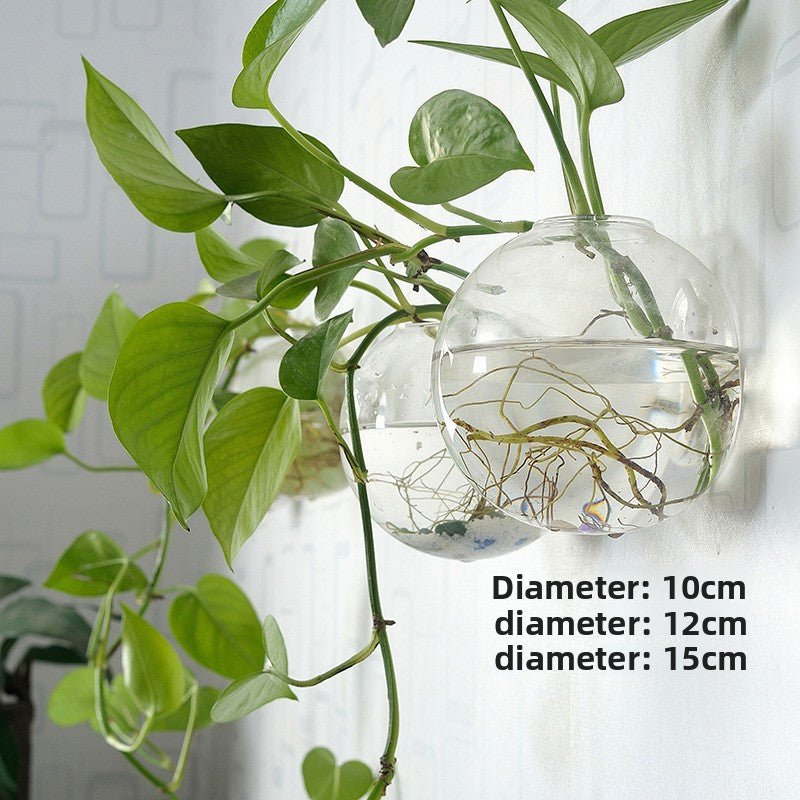 Hanging Hydroponic Glass Vase for Plants Wall Decor - The Coral Palm LLC