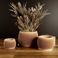 Honeycomb Planter Set with Drip Tray – Modern Geometric Plant Pots Made from Plant - Based Bioplastic | Decorative Indoor Planters - The Coral Palm LLC