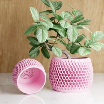 Honeycomb Planter Set with Drip Tray – Modern Geometric Plant Pots Made from Plant - Based Bioplastic | Decorative Indoor Planters - The Coral Palm LLC
