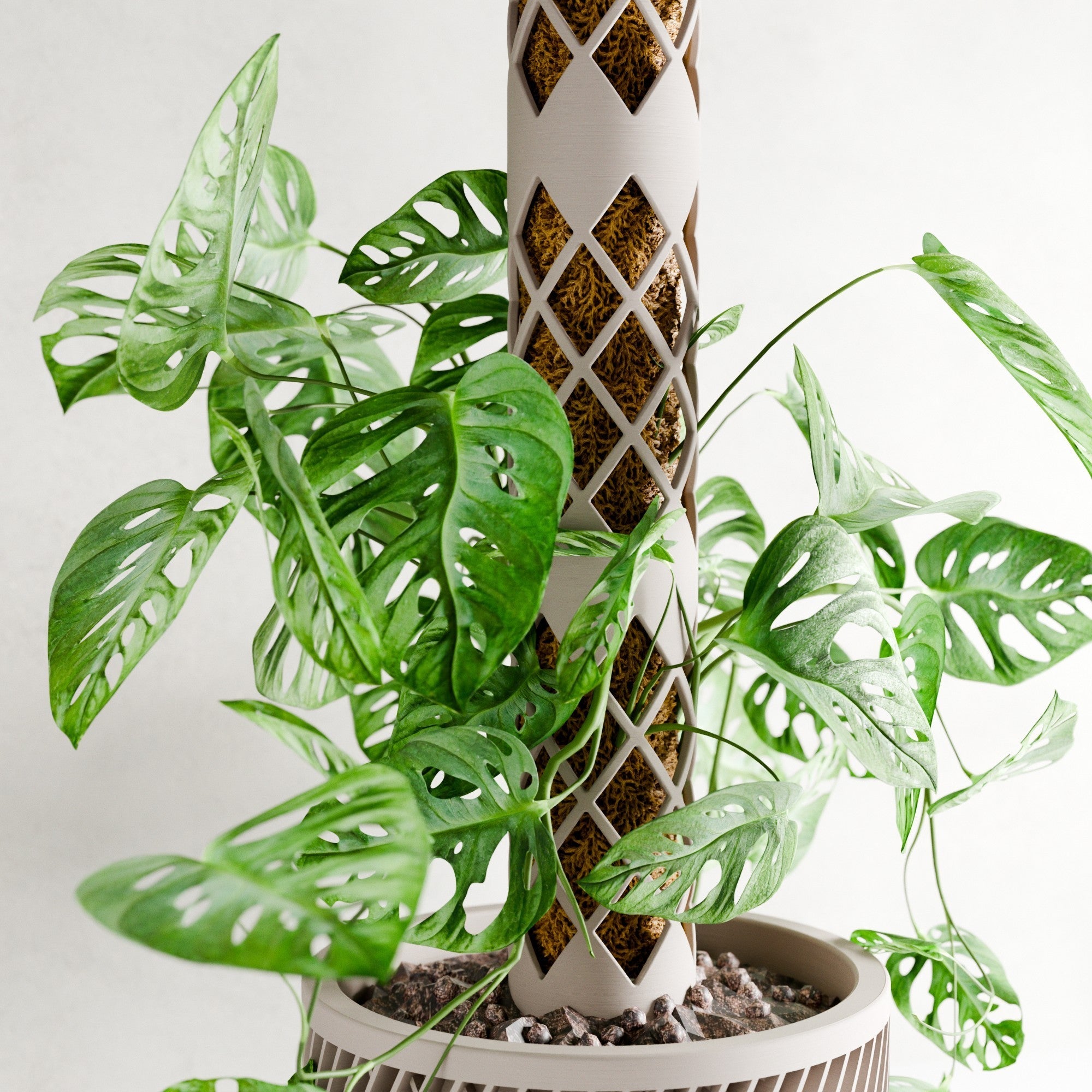 The Modular Moss Pole System – The Coral Palm LLC