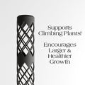 The Modular Moss Pole System – The Coral Palm LLC