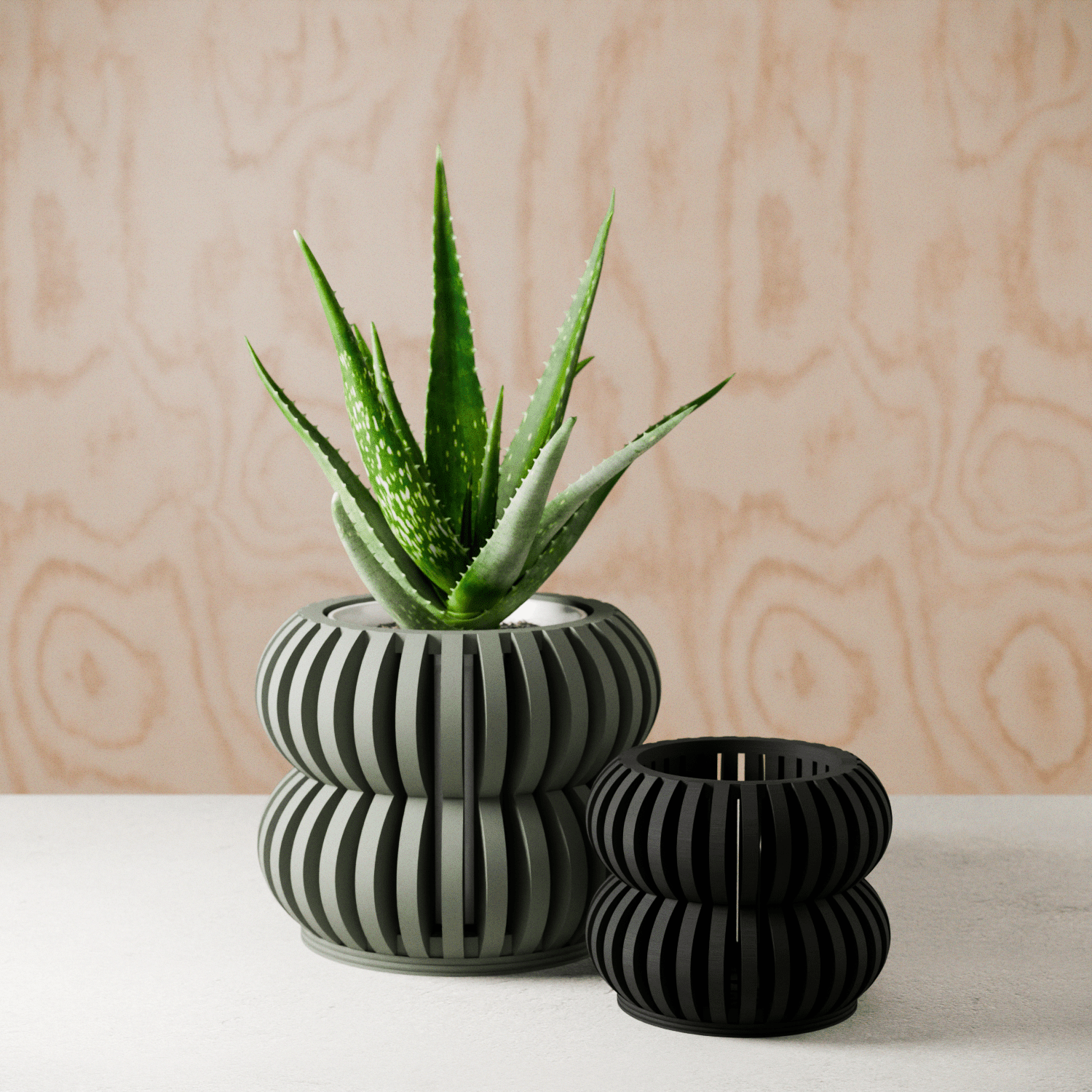 Orchid Planter DOUBLE BUBBLES - The Coral Palm LLC