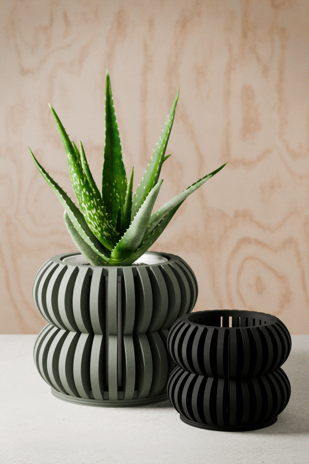Orchid Planter DOUBLE BUBBLES - The Coral Palm LLC