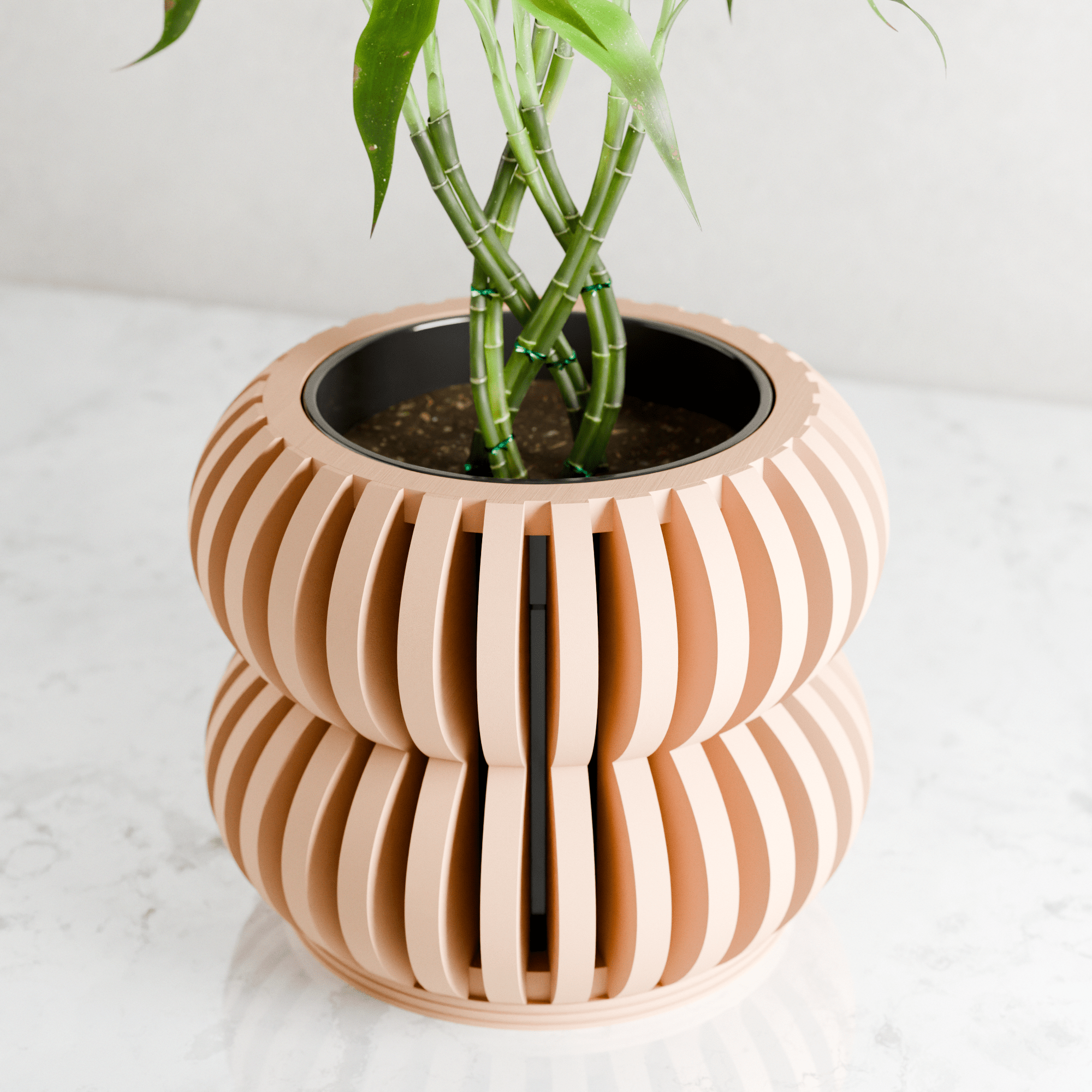 Orchid Planter DOUBLE BUBBLES - The Coral Palm LLC