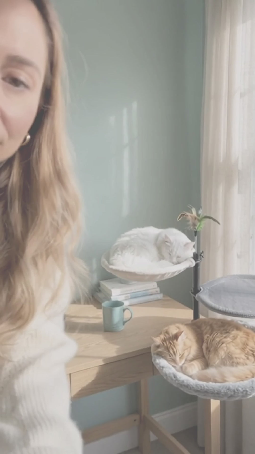 The Coastal Cat Desk Hammock